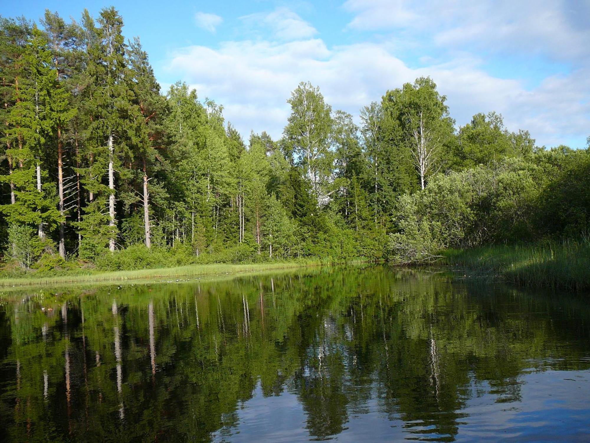 Lonneberga Vandrarhem & Hostel Екстер'єр фото